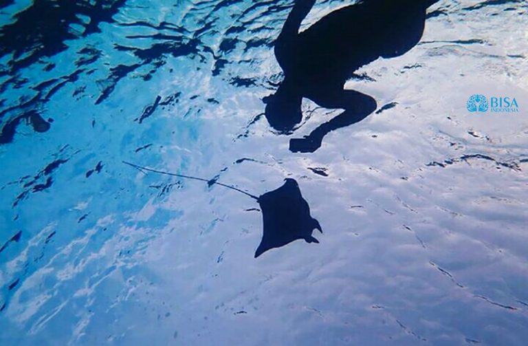 Menyambut Nama Baru Ikan Pari Manta