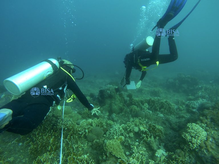 Studi Bawah Air di Bangsring Underwater