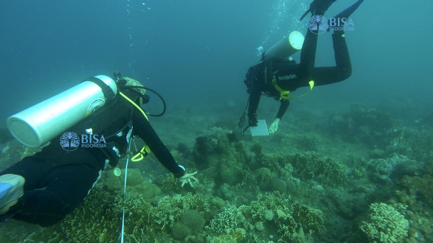 Studi Bawah Air di Bangsring Underwater