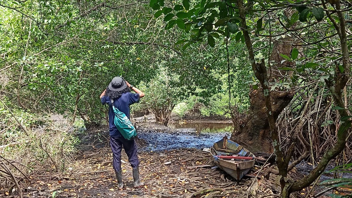 Menilik Surga Avifauna di Ujung Timur Jawa