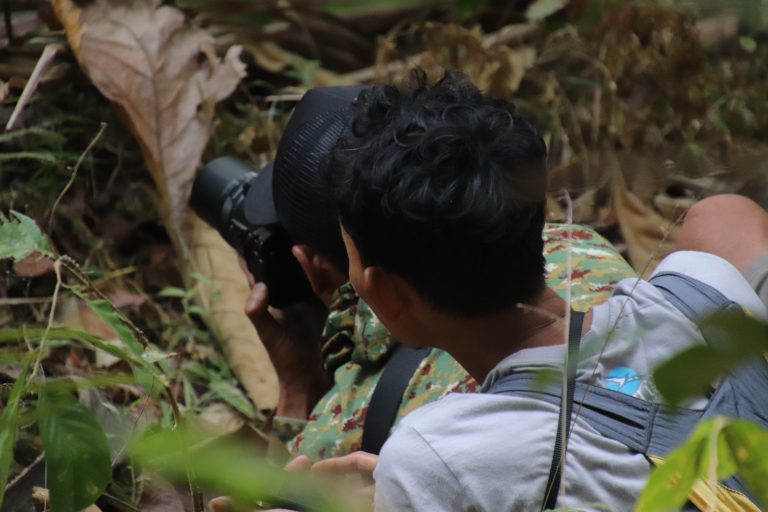 Menyusuri Habitat Sikatan Cacing di Sokomoyo