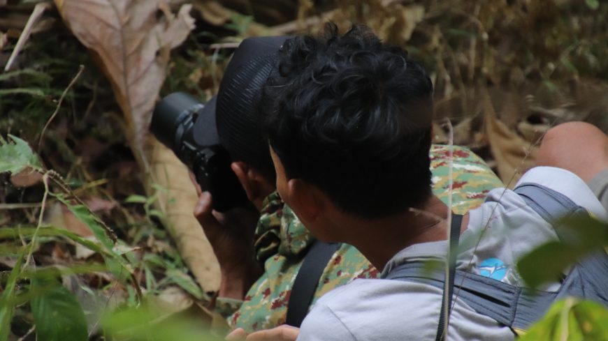 Menyusuri Habitat Sikatan Cacing di Sokomoyo