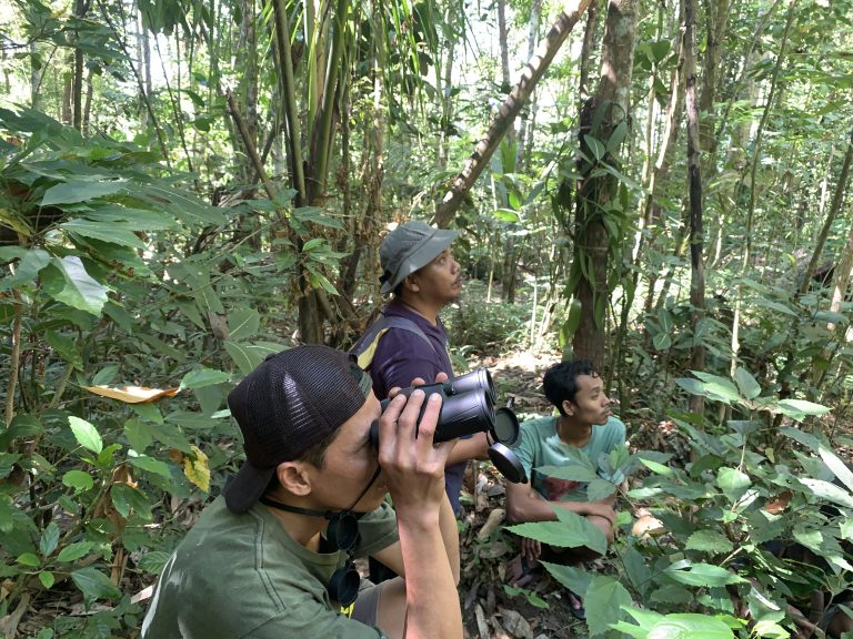 Menjaga Habitat, Menjaga Masa Depan Sikatan Cacing