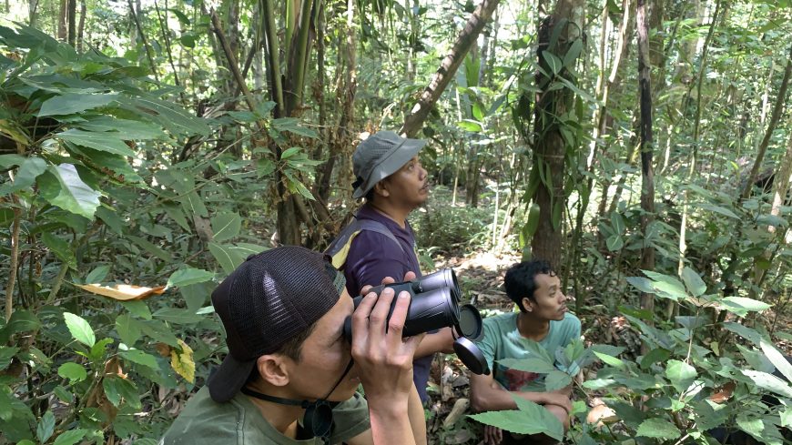 Menjaga Habitat, Menjaga Masa Depan Sikatan Cacing