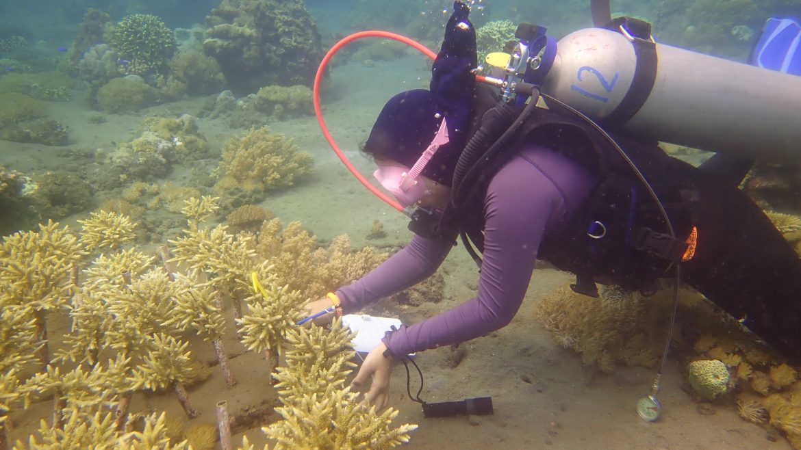 Kabar Baik dari Bawah Laut Bangsring