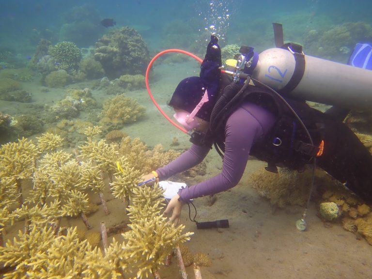 Kabar Baik dari Bawah Laut Bangsring